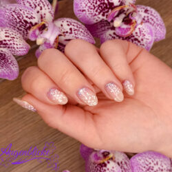 winter shellac design